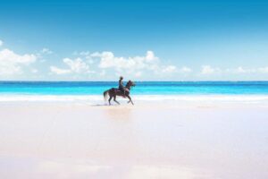 PINKS SAND BEACH